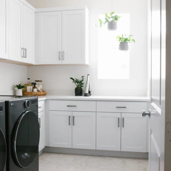 White laundry room with hanging plants.