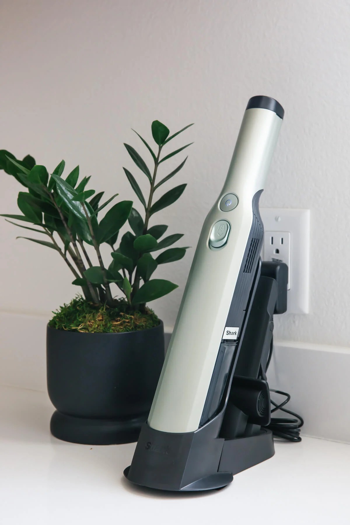 Plant and hand vacuum in laundry room.